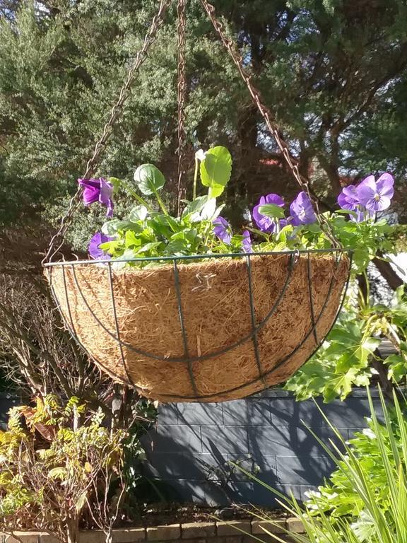 Ocean View Raglan Bed & Breakfast Екстер'єр фото